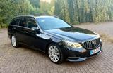 Mercedes-Benz E 350 BlueTEC T AVANTGARDE AVANTGARDE - Mercedes-Benz E 350 in Duisburg