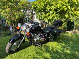 Honda VT750C Shadow  - HONDA VT 750 C SHADOW