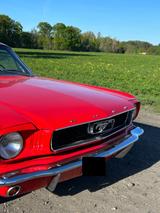 Ford FORD MUSTANG V8 Automatik Candy Apple Red - gebrauchte Ford Mustang aus dem Jahr 1966