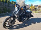 Harley-Davidson Sportster XL883 N Iron - HARLEY-DAVIDSON 2010 SPORTSTER 883
