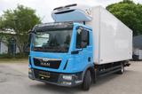 MAN TGL 12.220 / Thermo King T600R / Spur / Abstand - Offers