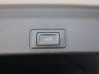 Cupra Terramar - Vorschau Bild 17