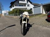 Triumph Street Triple | 29.000 km | viel Zubehör - TRIUMPH 2008 STREET TRIPLE