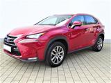 Lexus NX 300h E-FOUR Executive*Navi*GSD*el.Heckklappe - Lexus: F