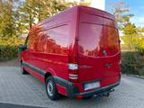 Mercedes-Benz Mercedes Sprinter 316 ENGT Erdgas Benziner... - Mercedes-Benz Sprinter mit Benzin-Antrieb