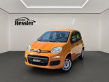 Fiat Panda 1.2 Easy*AHK*KLIMA*1.HD*E-FENSTER*5-TÜRER - Fiat Panda mit Anhängerkupplung