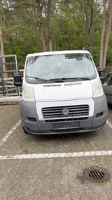 Fiat Ducato - Fiat Ducato aus 2010: Van