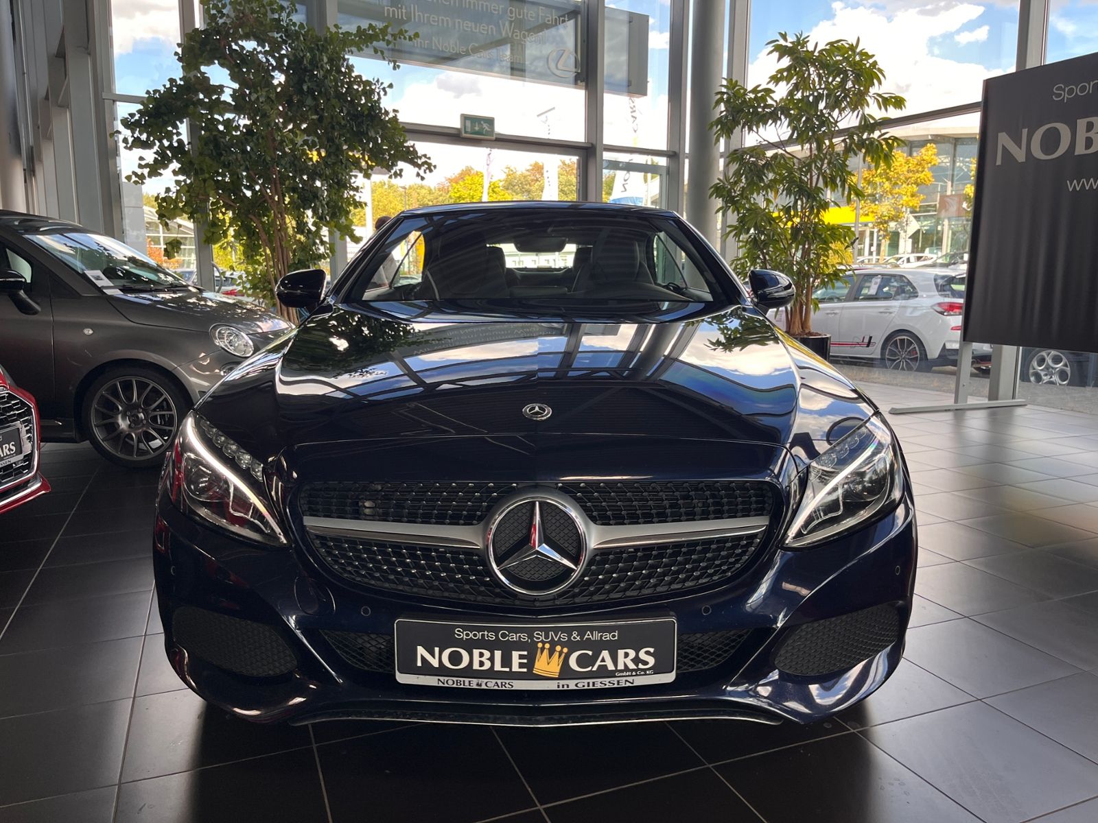 Fahrzeugabbildung Mercedes-Benz C 300 Cabrio  9G-TRONIC LED NAV SHZ PDC 17"