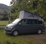 Volkswagen T6 California - graue Volkswagen T6 California