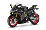 Aprilia RSV4 1100 - APRILIA RSV4 1100