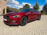 Ford Mustang GT V8 Premium Paket - Ford Mustang Gebrauchtwagen in Mönchengladbach