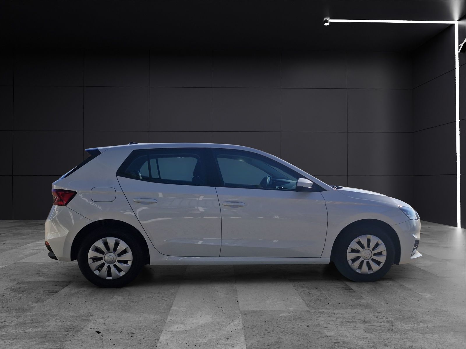 Fahrzeugabbildung SKODA Fabia Active 1.0 LED SH