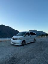 Toyota Alphard Campervan in Christchurch N... - Toyota Alphard in Frankfurt (Main)
