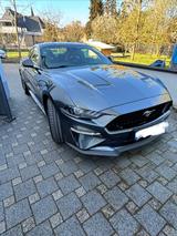 Ford Mustang 5.0 Ti-VCT V8 GT Recarositze Garantie - Ford Mustang in Hamm