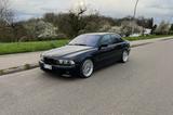 BMW E39 540i V8  M-Paket  Prins LPG Klassiker  - BMW 540 aus 2001: 540i