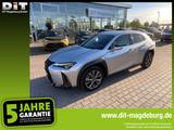Lexus UX 250 h F Sport Design ACC+LED+SHZ+2xKlima+Kam. - silberne Lexus UX