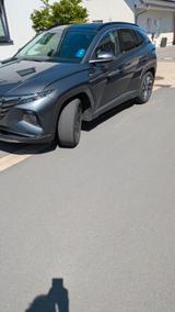 Hyundai TUCSON 1.6 CRDi 100kW 48V Trend DCT 4WD Trend - Hyundai TUCSON in Hamm