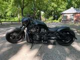 Harley-Davidson Harley Davidson Night Rod Special * Custom Umbau