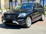 Mercedes-Benz ML 350 BlueTEC 4MATIC - - Mercedes-Benz ML 350 aus 2012