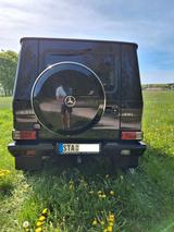 Mercedes-Benz G 270 CDI Overland/Camper, gepflegt, Profiausbau - Mercedes-Benz G 270 Gebrauchtwagen