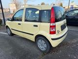 Fiat Panda 1.2 8V Dynamic TÜV&Service Neu - Fiat Panda Gebrauchtwagen in Hamburg