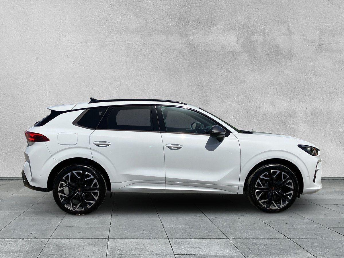Cupra Terramar - Bild 6
