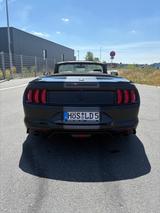 Ford Mustang Cabrio 2.3 EcoBoost GARANTIE  - gebrauchte Ford Mustang aus dem Jahr 2021