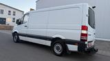 Mercedes-Benz Sprinter II Kasten 313 CDI AUTOMATIK TÜV,KLIMA - Mercedes-Benz Sprinter: Automatik