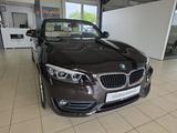 BMW 220i Cabrio Advantage 1.Hand Leder Kamera LED - mit Benzin-Antrieb: Braun, Cabrio