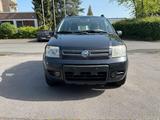 Fiat Panda 4x4 Climbing I ohne Rost I Klim... - gebrauchte Fiat Panda aus dem Jahr 2004
