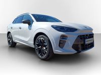 Cupra Terramar - Vorschau Bild 3