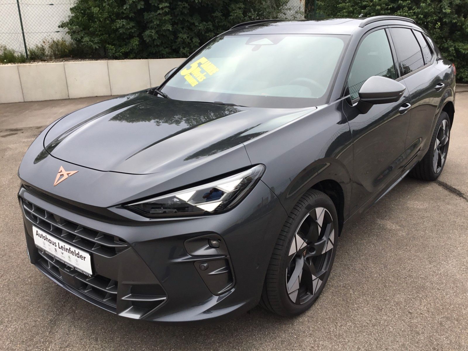 Fahrzeugabbildung CUPRA Terramar 2.0 TSI DSG 4Drive+Matrix+AHK+Pano+360°
