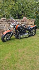 Harley-Davidson Softail - Offers matching your search criteria