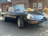 Alfa Romeo Spider - Alfa Romeo Oldtimer: Cabrio