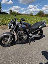 Honda Hornet 900 - Angebote