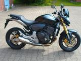 Honda CB 600 Hornet - HONDA HORNET