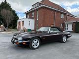 Jaguar XJS Autom/Leder/Klima/DeutschesModell - Jaguar mit Benzin-Antrieb: Cabrio