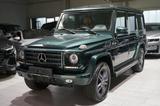Mercedes-Benz G 350 BlueTec GRÜN/BRAUN*DESIGNO*STANDH*SCHIEBED - Mercedes-Benz G 350 in Dortmund