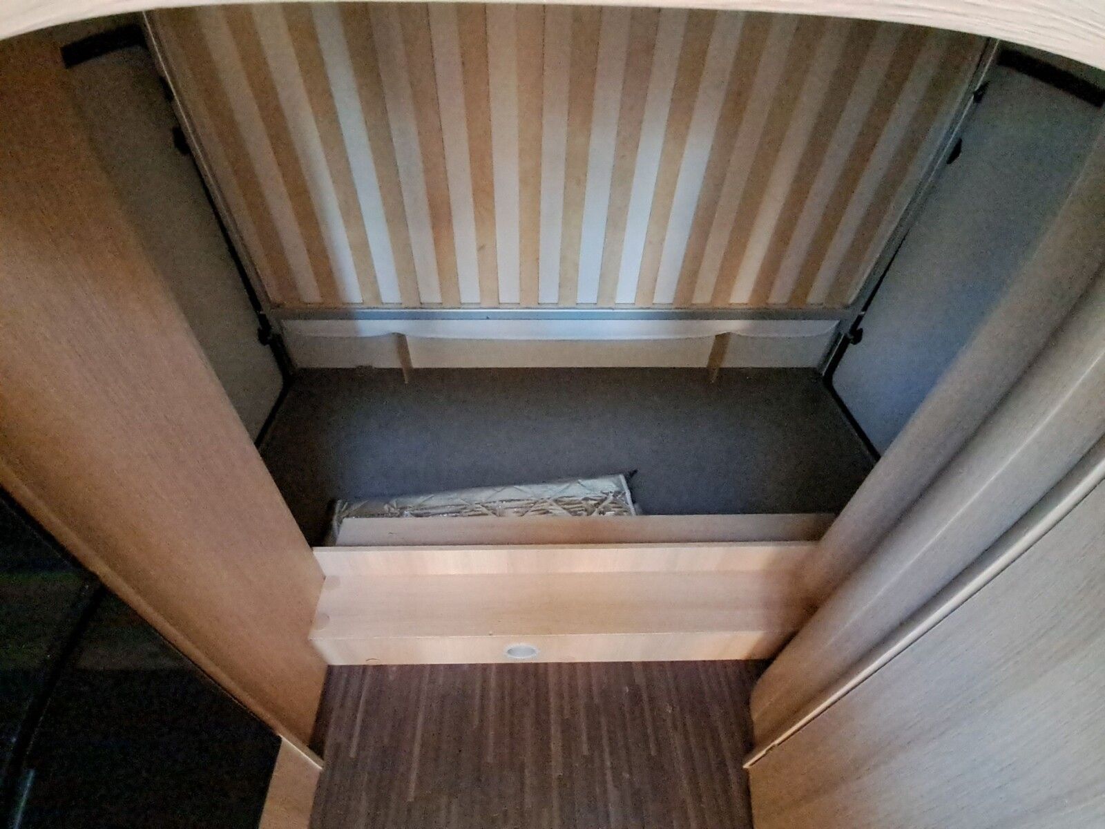 Fahrzeugabbildung Forster A 699 DVB Dörr Editionsmodell 2022