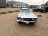 Ford Mustang 1966 v8 189ci coupe - Ford Mustang Oldtimer
