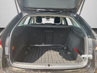 Skoda Octavia - Vorschau Bild 16