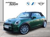 MINI Cooper S Cabrio DAB LED Komfortzg. Tempomat Shz - MINI Cooper S Cabrio: Grün