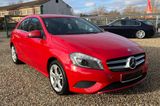 Mercedes-Benz A 180 CDI  BlueEfficiency Navi,Kamera,Bi-Xenon - Mercedes-Benz A 180: Kleinwagen