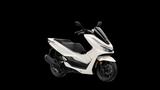 Honda PCX 125 TAGESZULASSUNG - Offers