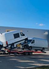 Blyss autotransporter - Blyss LKWs