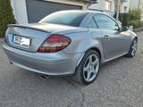 Mercedes-Benz SLK 280 Edition 10 Edition 10 - Mercedes-Benz Cabrio aus dem Jahr 2007