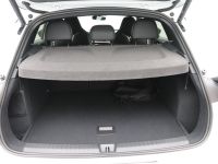 Cupra Terramar - Vorschau Bild 6