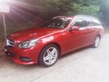 Mercedes-Benz E 220 BlueTEC T BlueEFF. Edition Autom. Edition - Mercedes-Benz E 220: Rot