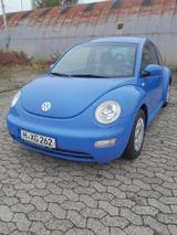 Volkswagen New Beetle 1.4 Klima TÜV 06/2026 - VW New Beetle Gebrauchtwagen in Hannover