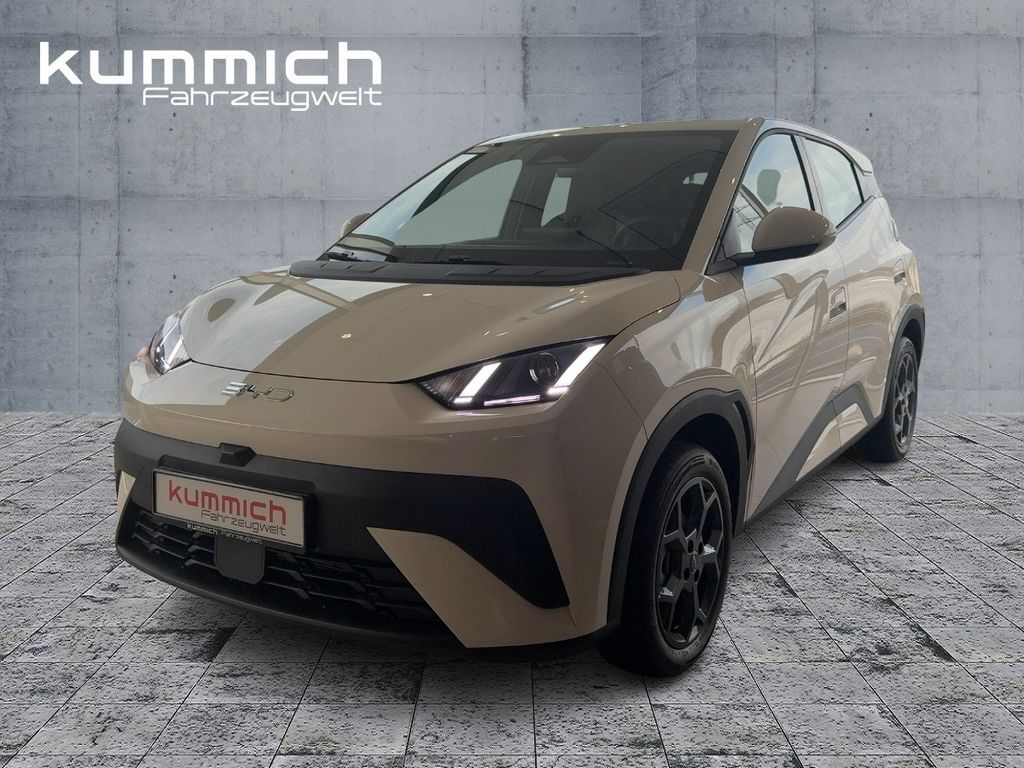 BYD DOLPHIN SURF Boost